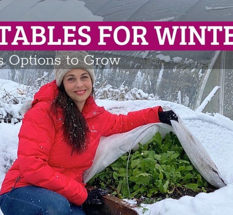 best vegetables for winter