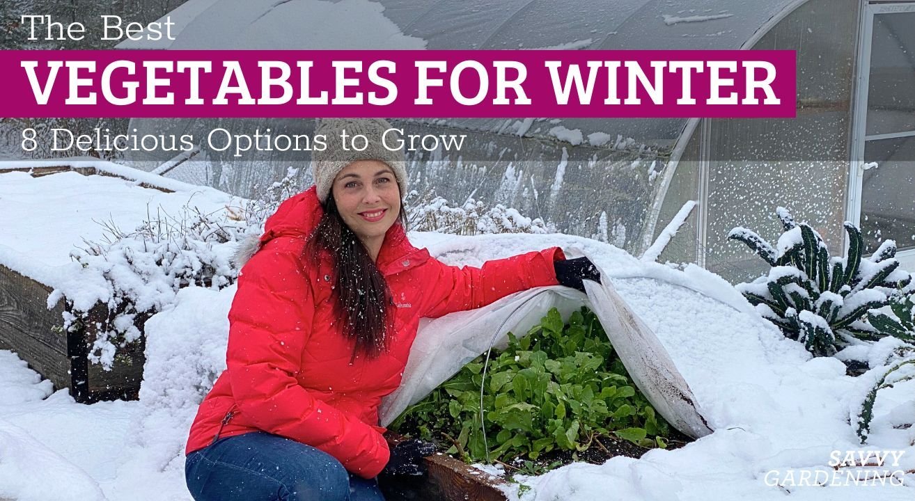 best vegetables for winter