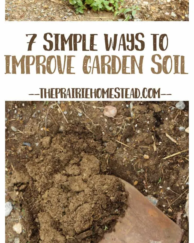 A wooden raised bed filled with dark soil sits on barren rocky ground.